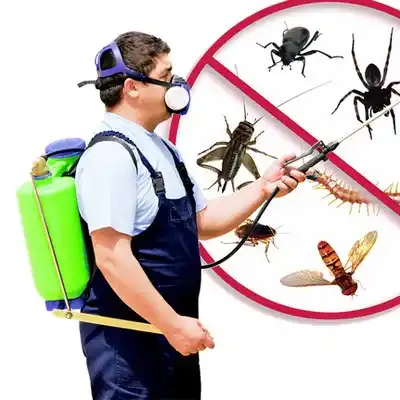 pest control Morris